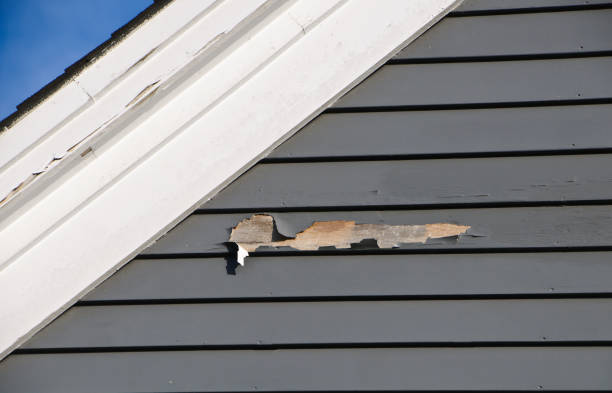 Best Engineered Wood Siding  in Prairie Heights, WA