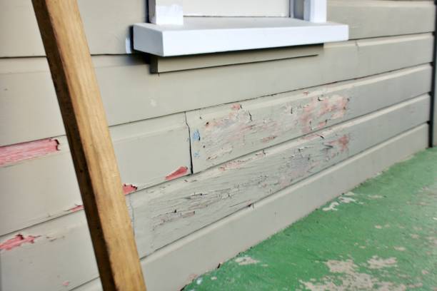 Best Storm Damage Siding Repair  in Prairie Heights, WA